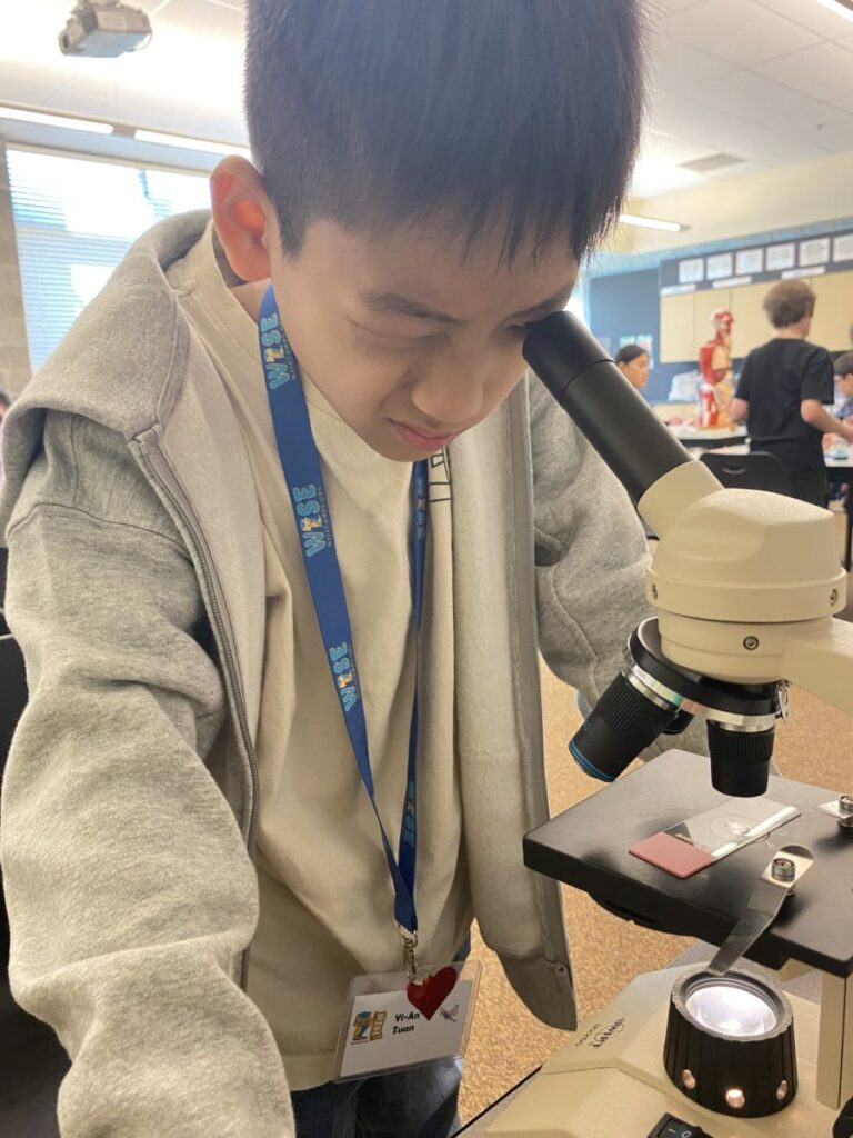 Bellevue Summer Camps Wise Camps camper looking through a microscope practicing a Medical Marvels activity.