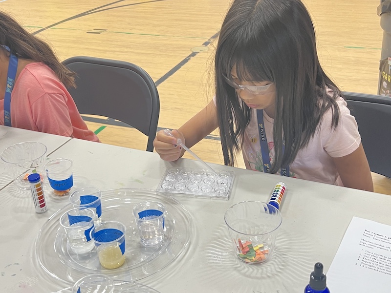 Bellevue Summer Camps Wise Camps camper engaged in a Molecular Magic activity.