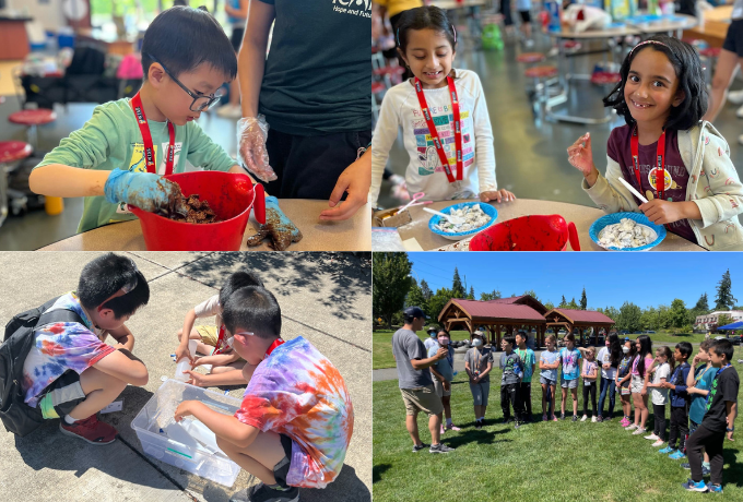 Issaquah Summer Camps - Wise Camps campers actively engaged at their stations and working with talented educators and staff.